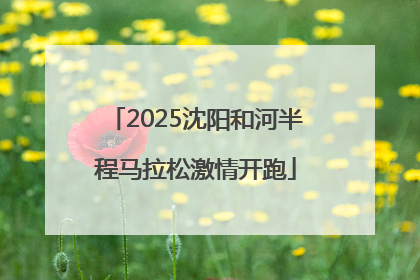 2025沈阳和河半程马拉松激情开跑