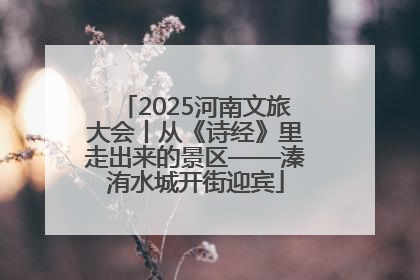 2025河南文旅大会丨从《诗经》里走出来的景区——溱洧水城开街迎宾