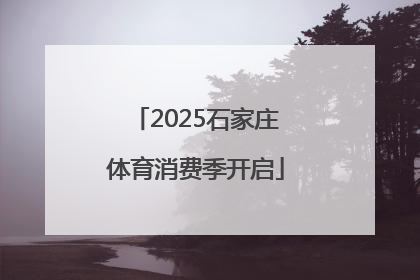 2025石家庄体育消费季开启