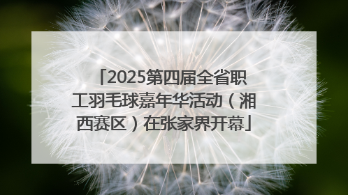 2025第四届全省职工羽毛球嘉年华活动（湘西赛区）在张家界开幕