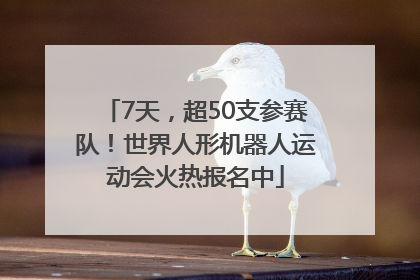 7天，超50支参赛队！世界人形机器人运动会火热报名中