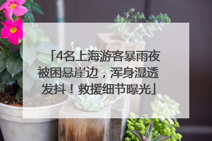 4名上海游客暴雨夜被困悬崖边，浑身湿透发抖！救援细节曝光