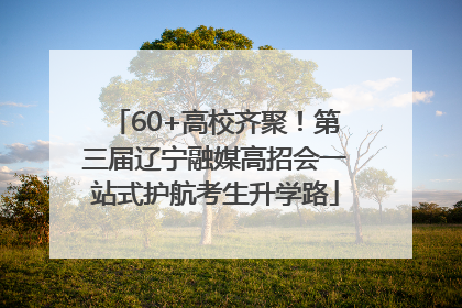 60+高校齐聚！第三届辽宁融媒高招会一站式护航考生升学路