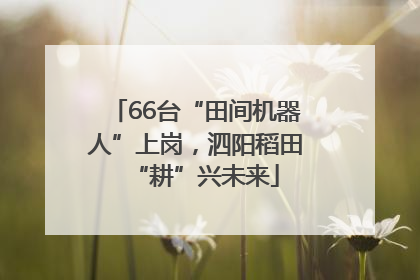 66台“田间机器人”上岗，泗阳稻田“耕”兴未来