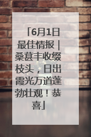 6月1日最佳情报｜桑葚丰收缀枝头，日出霞光万道蓬勃壮观！恭喜