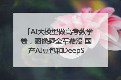 AI大模型做高考数学卷，图像题全军覆没 国产AI豆包和DeepSeek均得分144