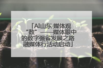 AI山东·媒体观“数”——媒体眼中的数字强省发展之路融媒体行活动启动