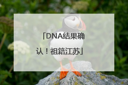 DNA结果确认！祖籍江苏